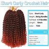 10 Inch Short Passion Twist Hair 8 Bundles Marlybob Crochet Hair Kinky Curly Crochet Hair for Black Women (8Bundles10 Inch, 1B/350#) view 2
