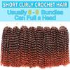 10 Inch Short Passion Twist Hair 8 Bundles Marlybob Crochet Hair Kinky Curly Crochet Hair for Black Women (8Bundles10 Inch, 1B/350#) view 4