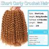 10 Inch Short Passion Twist Hair 8 Bundles Marlybob Crochet Hair Kinky Curly Crochet Hair for Black Women (8Bundles10 Inch, 27#) view 2