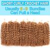 10 Inch Short Passion Twist Hair 8 Bundles Marlybob Crochet Hair Kinky Curly Crochet Hair for Black Women (8Bundles10 Inch, 27#) view 4