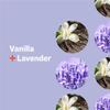 Everyone Nourishing Vanilla & Lavender Lotion, 8 FZ view 4