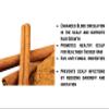 AbeniBae Cinnamon Honey Super Grow Hair Oil (4 oz), 4 Ounce view 4