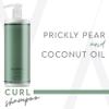 ALURAM Curl Shampoo, Clarifying Coconut Water Infused and Lightweight Cleansing For Curly Hair, 33.8 Fl Oz view 2