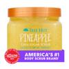 Tree Hut Pineapple Shea Sugar Scrub, Exfoliating, Hydrating & Moisturizing Body Scrub with Shea Butter & Nourishing Essential Oils, Smooth & Soften Skin, 18 oz view 3
