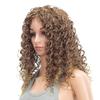 SWACC 20-Inch Long Big Bouffant Curly Wigs for Women Synthetic Heat Resistant Fiber Hair Pieces with Wig Cap (Light Brown Auburn Blonde Mixed) view 1