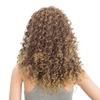 SWACC 20-Inch Long Big Bouffant Curly Wigs for Women Synthetic Heat Resistant Fiber Hair Pieces with Wig Cap (Light Brown Auburn Blonde Mixed) view 4