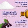 Dr Teal's Shea Sugar Body Scrub, Black Elderberry with Essential Oils, 19 oz (Pack of 3) view 2