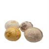 Assorted Natural Organic Bath Bombs (4 Bath Bombs) view 1