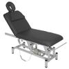 SKINACT Turin ADA Compliant Treatment Table Grey view 1