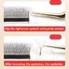 5D W-Shaped Eyelashes Premade Fan-Shaped Eyelashes Clover Extension Eyelashes Individual Eyelashes B/C Curl 5D Bloom Eyelashes Curl Easy Bloom Grafted Eyelashes 0.05mm Whispy and Thick Eye Lashes (12mm, 5D W Shape-B-0.05) view 4