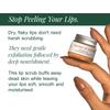 Juicy Chemistry Blood Orange & Rosehip Lip Scrub,10 g | Gentle Exfoliating Scrub For Dark Lips & Pigmentation | Organic Lip Exfoliator For Soft, Smooth, Supple And Luscious Lips view 2