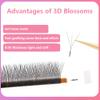 3D W-Shaped Clover Eyelashes 0.05mm B/C Curl Individual Lashes Black Natural Soft Eyelash Premade Volume Fans 3D Women Makeup Eyelash 8-14mm(13mm, 3D W Shape-C-0.05) view 3