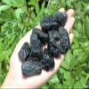 Black Tourmaline Crystals Natural Stones 1/2 lb Bulk Wholesale Collection Box view 2