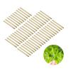 50pcs Ear Hole Tea Stem Stud, Ear Tea Rod Curing Ear Hole Stick Piercing Aftercare Stud Earrings(Standard) view 4