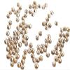 Preciosa Viva Rhinestones - No Hotfix Flatback - Golden Shadow - SS12 (3mm) - Choose Your Quantity (144) view 2