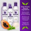 Fairy Tales Daily Cleanse Everyday Kids Shampoo, Conditioner, and Spray set - Gentle Natural Defining, Tangle Free, Moisturizing + Hydrating, Clean + Natural Ingredients - Paraben Free - 12oz. (3PK) view 4