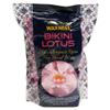 Waxness Premium Luxury Bikini Lotus Stripless Waxing Kit with 1.65 lb 0.74 kg Wax Bag view 3