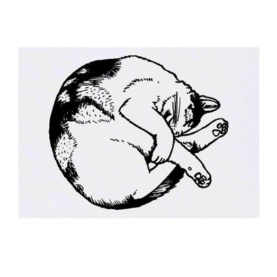 Azeeda 'Sleeping Cat' Temporary Tattoo - Water Resistant, Skin-Safe, Non-Toxic Transfer (TO00022755)