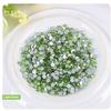 Onwon 288 Pcs Crystal Flat Back Brilliant Round Rhinestones Glass Stones Glitter Gems Faux Diamond for Craft,Nail Art,Shoes,DIY Decorations (SS34 / 7mm, Light Green) view 2