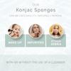 Wildpier Beauty Exfoliating Konjac Sponge - Exfoliating Body Scrubber, Natural Exfoliating Facial Scrubber Sponge for Sensitive Skin, Body Scrubber Exfoliator, Shower Scrubber for Body, Biodegradable view 3