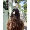 Canitor Butterfly Hair Accessories for Women - Claw Clips, Small and Medium Hair Clips, Cute Hair Accessories view 2