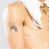 Inkbox Temporary Tattoos, Semi-Permanent Tattoo, One Premium Easy Long Lasting, Water-Resistant Temp Tattoo with For Now Ink - Lasts 1-2 Weeks, Howling, 4 x 4 in view 2