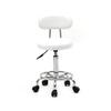 Gappys Adjustable Salon Stool Chair with Wheels and Back Support - Hair Stylist Office Home Kitchen Massage Medical Lab Salon Artist (White) view 1