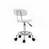 Gappys Adjustable Salon Stool Chair with Wheels and Back Support - Hair Stylist Office Home Kitchen Massage Medical Lab Salon Artist (White) view 4