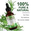 Pure Natural Rosemary Essential Oils - 2 pack, Hair Growth Scalp Oil for Dry Damaged Hair(2.02 Fl Oz) view 2