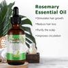 Pure Natural Rosemary Essential Oils - 2 pack, Hair Growth Scalp Oil for Dry Damaged Hair(2.02 Fl Oz) view 4