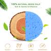 50-Count Compressed Facial Sponges for Daily Cleansing and Gentle Exfoliating, 100% Natural Cellulose Spa Sponge Perfect for Removing Dead Skin, Dirt and Makeup - Blue view 2