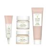 Earth To Skin Tea Time Starter Set: White Tea Cleanser (1.0 Fl Oz), White Tea Day Cream (0.5 Fl Oz), Black Tea Night Cream (0.5 Fl Oz), Chamomile Eye Cream (0.23 Fl Oz) view 1
