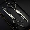 Professional Hair Cutting Shears, Professional Japan 9cr steel 6 inch upscale matte hair scissors haircut thinning barber hair cutting shears hairdressing scissors (Color : Set with bag) view 1