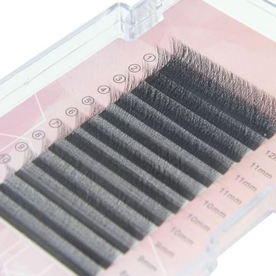 3D/4D/5D W Type Eyelash Extension 4D Curl Premade 0.05mm C Curl Individual Eyelashes 8-12mm Hybrid Artificial Mink Eyelashes Automatic Bloom Eyelashes (8mm, 3D W-Shape-0.05-D+)