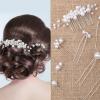 Geosar 9 Pcs Wedding Hair Accessories Pearl Hair Pins Women Vintage Hairs Piece Bridal Accessories for Bride Bridesmaids(Silver,Elegant Style) view 1