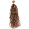 100 Gram 1 Piece Kinky Curly High Temperature Synthetic Hair Extensions Hair Weaving #27 10inches view 1