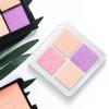 AKOAK 2 Pcs Empty Makeup Board, Lipstick Palette, Refillable Eyeshadow Storage Box, 4 Grids Eyeshadow Lipstick Tray, Plastic Clear Makeup Tray, DIY Makeup Foundation Blush Eyebrow Powder Container view 3