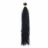 Kinky Curly Hair Weave Synthetic Hair Bundles Afro Kinky Curly Hair Extensions 16-30 Inch #1B 26inches 1 PC view 1