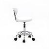 Salon Stool, Medical Spa Stool with Back, Round Chair with Swivel Backrest, Adjustable Chair with Wheels for Beauty Salon Spa Tattoo Massage,Dental Clinic,Office Art Studio (White) view 4