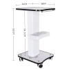 Beauty Instrument Cart Salon Trolley Cart Max Load 40kg Rolling Cart with Handle for Beauty Spa view 2