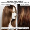 Bundle - 5 Items: Alanna Wig by Jon Renau, Christy's Wigs Q & A Booklet, 2oz Travel Size Wig Shampoo, HD Smooth and Wide Tooth Comb - Color: 30A27S4 view 2