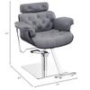Dir All Purpose Hydraulic Reclining Styling Chair Salon Stylist Chair - Planet in Grey view 2