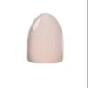 Chisel Nail Art 2 in 1 Acrylic/Dipping Powder 2 oz - SOLID (201) view 2