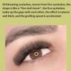 3D/4D/5D W Shape Lashes Extensions Volume Premade 0.07mm C/D Curl 8-14mm Eyelash Extensions Black Cluster Easy Fanning Russian Volume Cluster 12 Rows Eyelashe (13mm, 5D W Shape-C-0.07) view 4