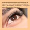 3D Clover Eyelashes extensions Supply W-shaped Lashes 3D Self Fanning Volume Eyelash C/D Curl Black Soft False Eyelashes Automatic Blooming Lashes (14mm, W Shape-C-0.07) view 4