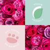 Sunday Rain Body Scrub - Rose - Exfoliating Body Scrub - Made with Rose Oil - Natural Sugar Exfoliant - Vegan Bath Products - Cruelty-Free - 9.3 oz view 4