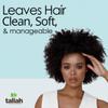 Taliah Waajid Scalp Care Follicle Therapy Treatment Masque | Plant-Based Hair & Scalp Treatment | Wild Sea Moss, Rosemary & Aloe to Restore Moisture and Strengthen Hair - 12oz (V104) view 4