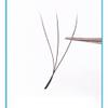 Clover Lash B/C Curl 8-12mm Eyelash extensions W-shaped Lashes 0.05mm Slender Automatic Blooming Lashes 3D Self Fanning Volume Eyelash Extensions (12mm, Clover-B-0.05) view 4