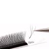 3d Clover False Eyelashes Curling Lashes Extension B/C Curling 8-12mm Eyelash Extension Supplies W-Shaped Eyelash 3D Self-Grafting Automatic Blooming Lashes (8mm, Clover-C-0.05) view 4