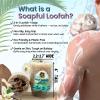 Soapful Loofah  Vanilla Coconut Scented Natural Loofah Soap Bar | Exfoliating 2-in-1 Body Scrubber & Moisturizing Glycerin Soap | Eco-Friendly, Handmade, Cruelty-Free view 3